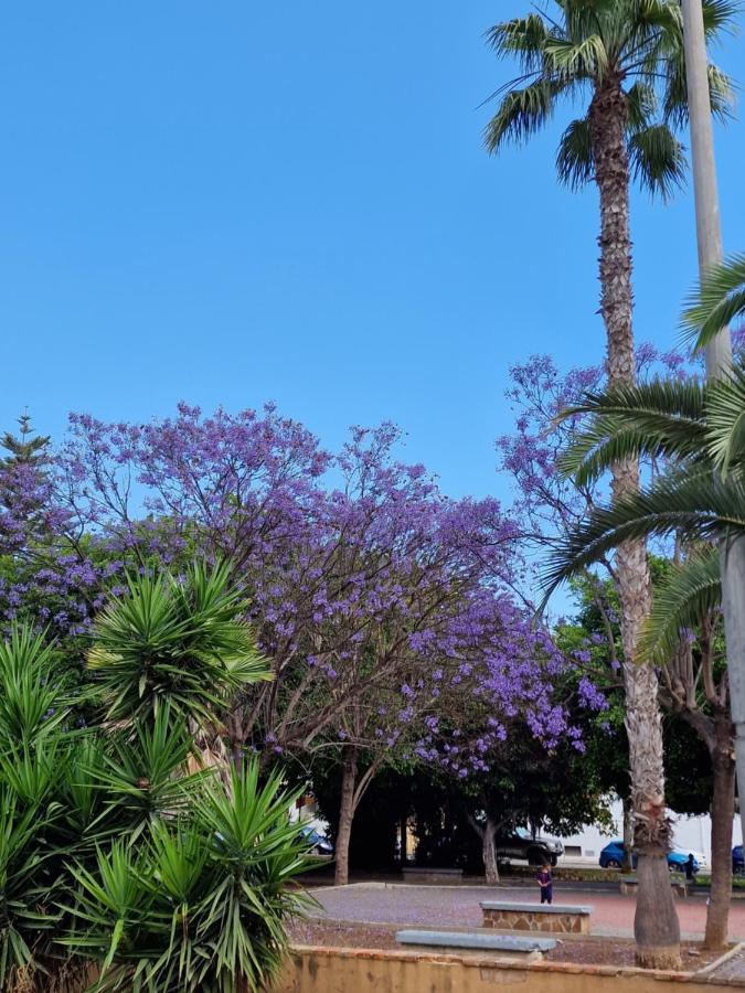 "Vero Vijola" In Torrevieja Bagian luar foto