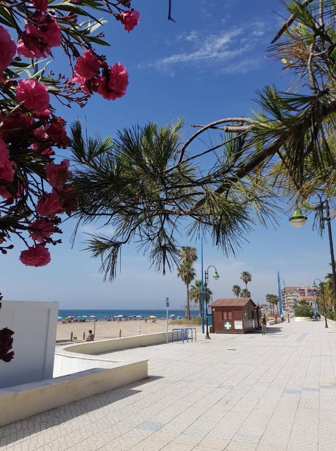 "Vero Vijola" In Torrevieja Bagian luar foto